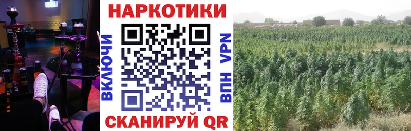 Купить закладку Бошки Шишки  Мефедрон  Cocaine  ГАШ  Лысково