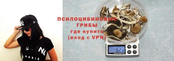 винт Покачи
