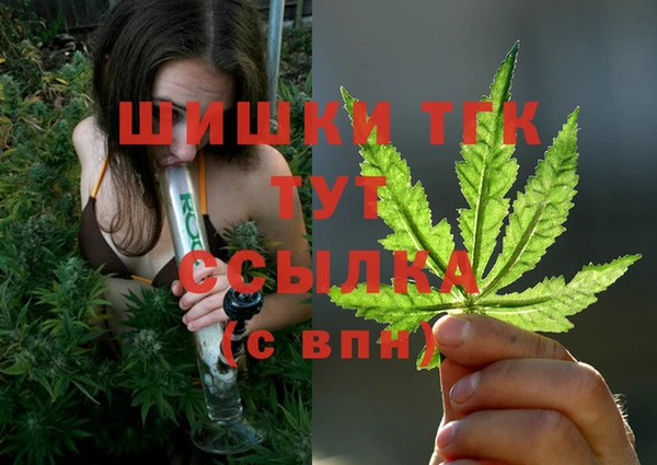 соль ск Пестово