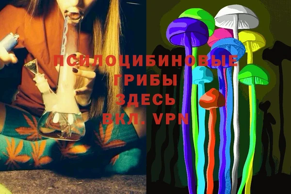 винт Пересвет