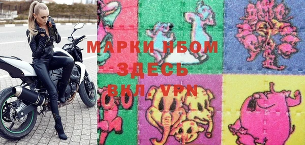 винт Пересвет