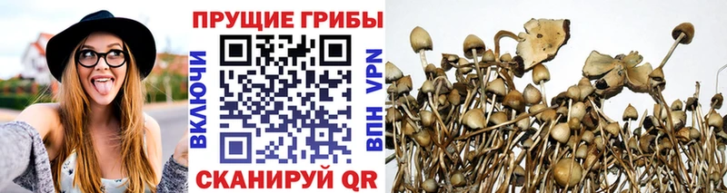 Галлюциногенные грибы ЛСД  Купить где  Лысково 